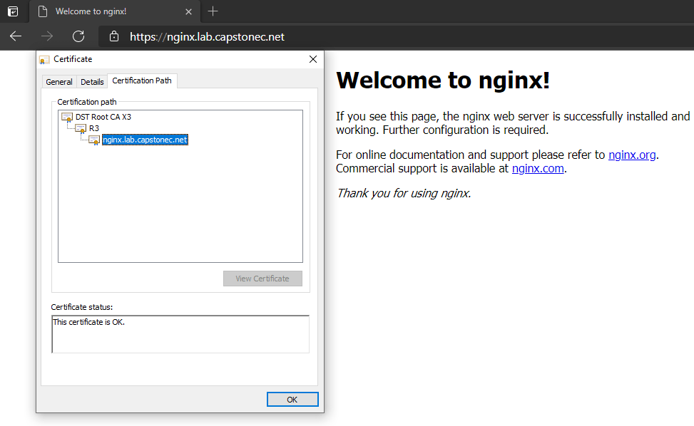 nginx.lab.capstonec.net in your browser